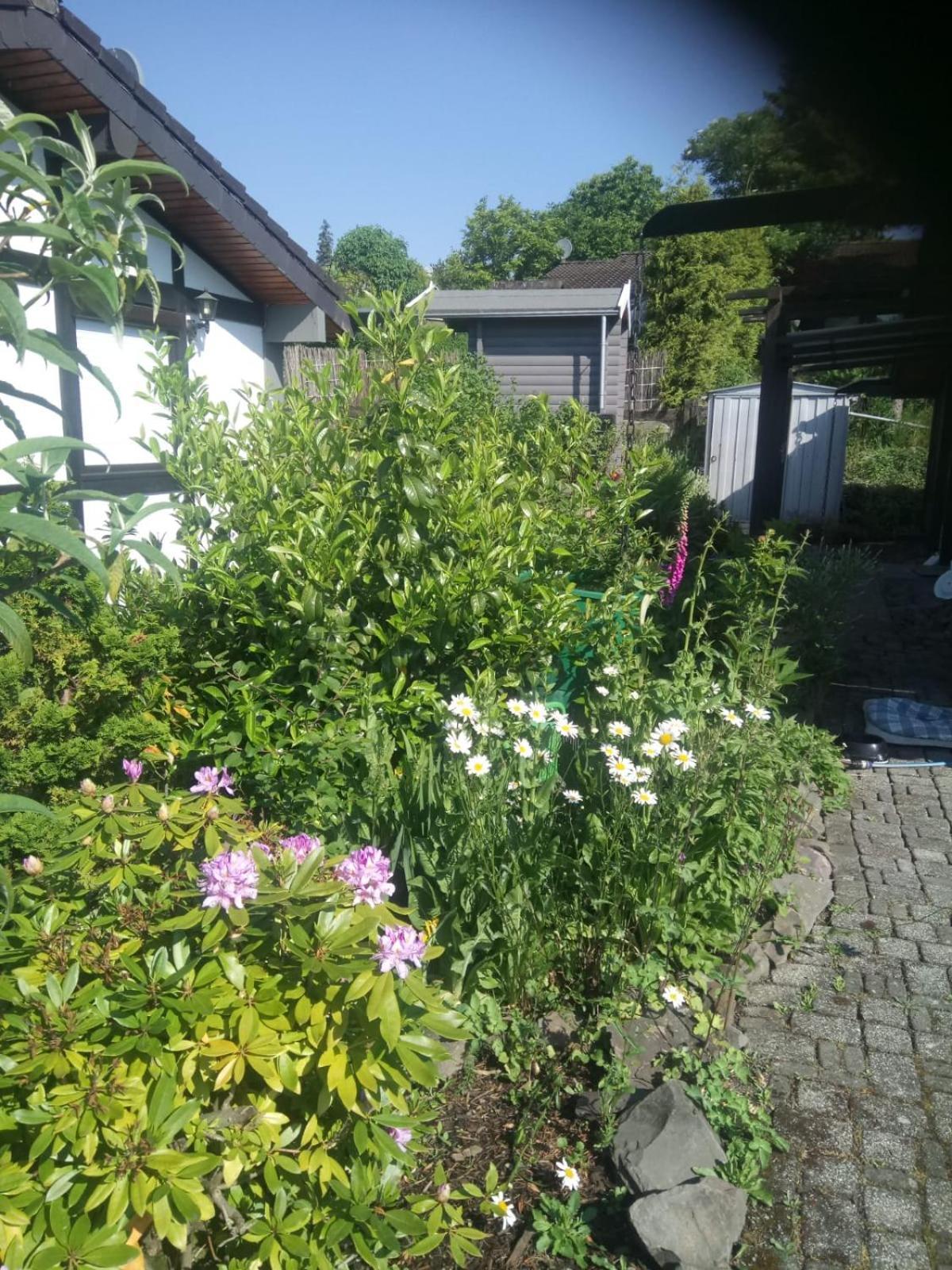 Haus Am Listersee Meinerzhagen Ngoại thất bức ảnh